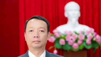 Domnul Phan Thien Dinh deține funcția de secretar adjunct al Comitetului de Partid din Provincia Ha Tinh