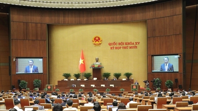 Pressemelding nr. 22, 10. sesjon, 15. nasjonalforsamling