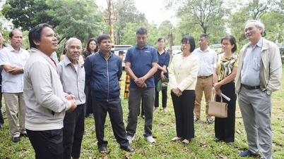 نایب رئیس کمیته مردمی استان، نگوین تی تان لیچ، از روستای گردشگری اجتماعی پلی اوپ و روستای ایا نوئنگ بازدید کرد.