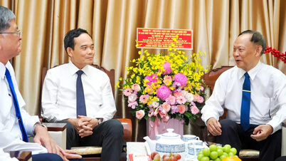 Sekretaris Komite Partai Kota Ho Chi Minh Tran Luu Quang mengunjungi keluarga Profesor Nguyen Tan Phat