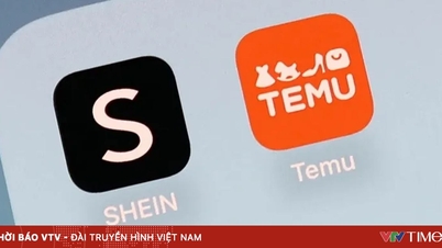 Fokozott vizsgálatot kell végezni az e-kereskedelmi platformok terén