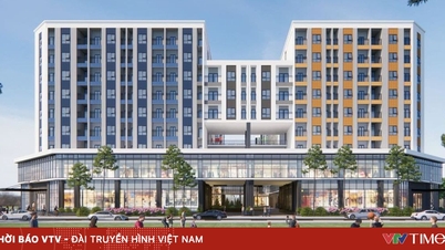 社会住宅購入手続きの透明性