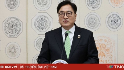 কোরিয়া প্রজাতন্ত্রের জাতীয় পরিষদের চেয়ারম্যান আনুষ্ঠানিকভাবে ভিয়েতনাম সফর করতে চলেছেন।