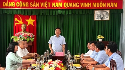 Timbalan Perdana Menteri Le Thanh Long memeriksa operasi projek pengairan terbesar di Delta Mekong.