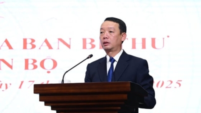 انتصاب آقای فان تین دین به سمت معاون دبیر کمیته حزبی استان ها تین