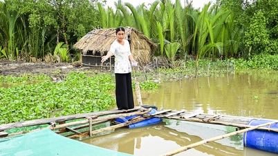 Vinh Hoa اہم پیداواری علاقوں کو ترقی دینے پر توجہ مرکوز کرتا ہے۔