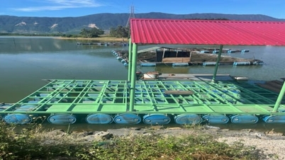 'ការវិនិច្ឆ័យ' ការរំលោភលើការងារធារាសាស្ត្រនៅ Ha Tinh៖ ការបំពានគ្រប់ប្រភេទ