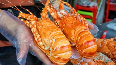 এইচসিএমসি: ফুটপাতের দোকানে রেস্তোরাঁর মতো লবস্টার বিক্রি, লক্ষ লক্ষ গ্রাহক এখনও লাইনে দাঁড়িয়ে আছেন