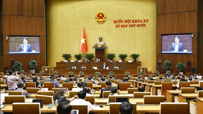 Rezoluție pentru înlăturarea dificultăților și obstacolelor în organizarea implementării Legii funciare