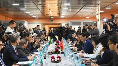 ভিয়েতনাম-আলজেরিয়া আন্তঃসরকার কমিটির সভা: দ্বিপাক্ষিক সহযোগিতার জন্য নতুন গতি তৈরি করা..