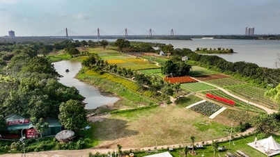 Különleges hírek a Hanoi Moi újságban, 2025. november 18-án