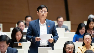 Утренние новости 18 ноября: Сегодня правительство представило Национальной ассамблее механизмы и политику по устранению препятствий в сфере земельных отношений.