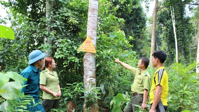 فتح الطريق للخروج من الفقر للناس من خلال حماية الغابات