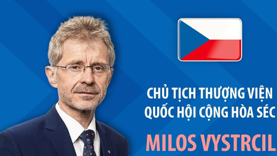 Портрет президента Сената Чешской Республики Милоша Выстрчила