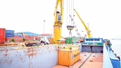 Eliminarea blocajelor pentru dezvoltarea unui centru logistic modern în Can Tho