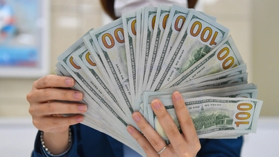 변동소득 신고금액을 3억원에서 10억원으로 상향 조정한 이유