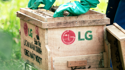 Ambasador komunity LG 2025: Vydejte se s komunitou na cestu k vytvoření udržitelné budoucnosti