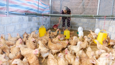 Kim Phuong jobber for bærekraftig fattigdomsreduksjon