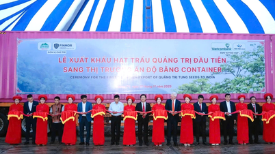 จังหวัดกวางตรีส่งออกเมล็ดข้าวทังจำนวน 60 ตันชุดแรกไปยังประเทศอินเดีย