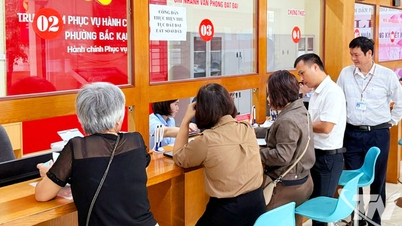 Promover serviços públicos online, rumo a um governo digital.