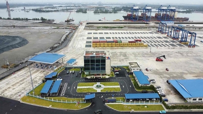 Dong Nai: Rozwój projektów w zakresie technologii cyfrowych i innowacji związanych z obszarami miejskimi lotnisk