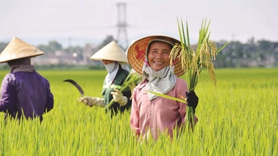 Çiftçilerle birlikte modern ve sürdürülebilir tarım inşa ediyoruz