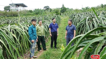 Podporovat kooperativní aktivity a propojení výroby