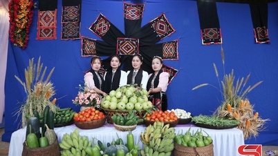 Propojení komunit za účelem budování modelových nových venkovských vesnic