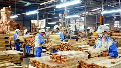 Wietnam umacnia swoją pozycję jako ważnego dostawcy mebli drewnianych dla UE