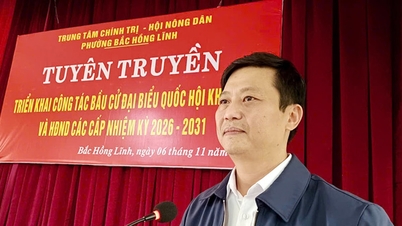 Ha Tinh: bereid je zorgvuldig voor om van de verkiezingsdag een groot feest voor de hele natie te maken