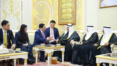 Continue to accompany and promote Vietnam-Kuwait relations