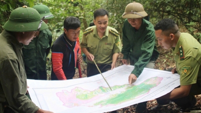 Giữ màu xanh nơi phên dậu biên cương