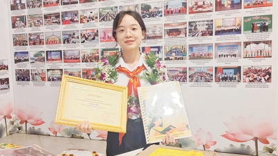 Bac Ninh: Verbreitung der Lesekultur durch wundervolle Menschen