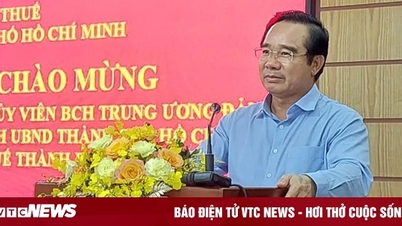 Ho Chi Minhstad bereikt voor het eerst twee maanden eerder dan verwacht zijn belastinginkomstendoel