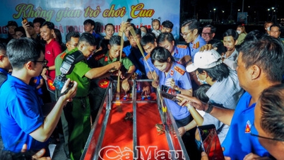 흥미진진한 게 경주 대회