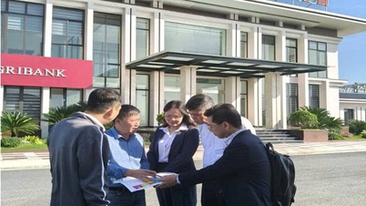 Ministerstvo průmyslu a obchodu města Hai Phong uspořádalo pracovní setkání s delegací z Odboru inovací, zelené transformace a podpory průmyslu Ministerstva průmyslu a obchodu.