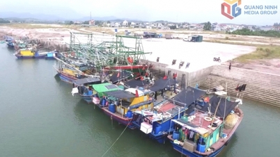 Mantener los logros en la lucha contra la pesca INDNR (ilegal, no declarada y no reglamentada).