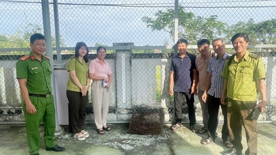 Δύο σπάνια ζώα εμφανίστηκαν στο Ντα Νανγκ