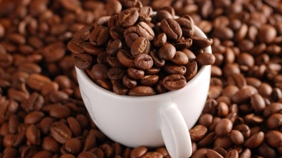 A robusta kávé ára több mint 6%-kal emelkedett a kínálati hiány nyomása miatt.