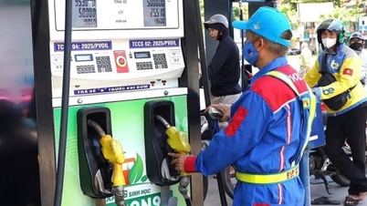 Το Υπουργείο Βιομηχανίας και Εμπορίου εκδίδει οδικό χάρτη για την ανάμειξη βιοκαυσίμων