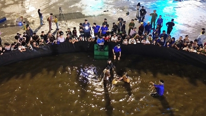 ការប្រកួតប្រជែង "ចាប់ក្តាមលឿនបំផុត" និង "ការប្រណាំងក្តាមរឿងព្រេង" ដ៏រំភើប