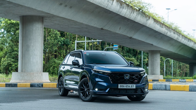 Honda Vietnam объявила о планах по сборке модели CR-V e:HEV во Вьетнаме.