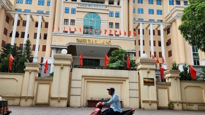 政府監査局は、10億VND以上の所得変動を申告しなければならない理由を2つ挙げた。