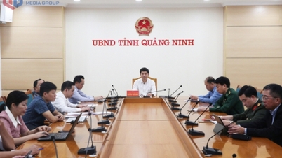 Phiên họp lần thứ 22 của Ban Chỉ đạo Quốc gia về IUU