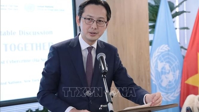 ハノイ条約：幅広い参加と効果的な実施を促進するための好ましい前提