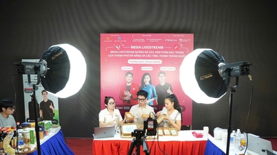 전자상거래 개발: 다낭의 역할 정하기