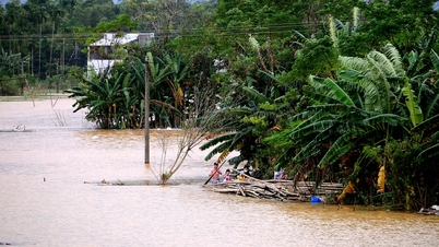 De nombreux villages situés le long de la rivière Vu Gia - Thu Bon sont à nouveau inondés par la nouvelle saison des crues.