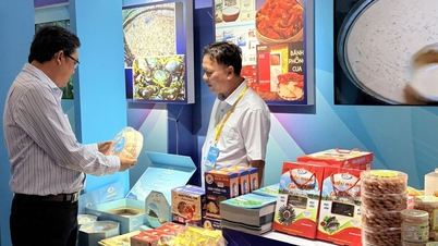 Ca Mau fremmer utvidede investeringsmuligheter på mange felt