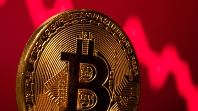 بٹ کوائن عمودی طور پر گرنا جاری ہے، سرمایہ کار بھاگ رہے ہیں۔