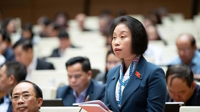 Les délégués de l'Assemblée nationale de Hanoï proposent d'appliquer des mécanismes spéciaux aux projets d'APD.